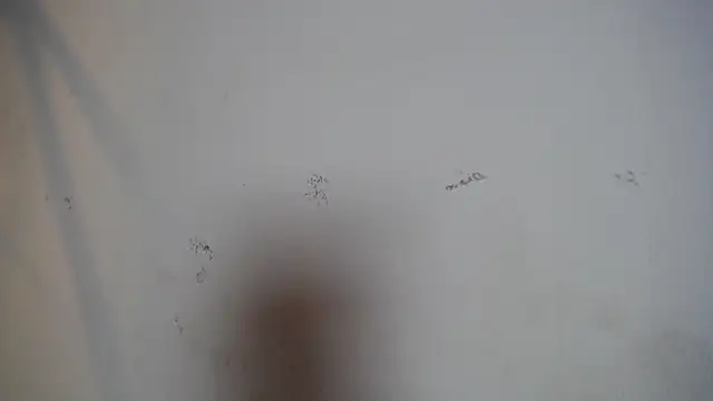 celeste_solis's cam snapshot