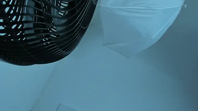 FaloonRoussel's cam snapshot