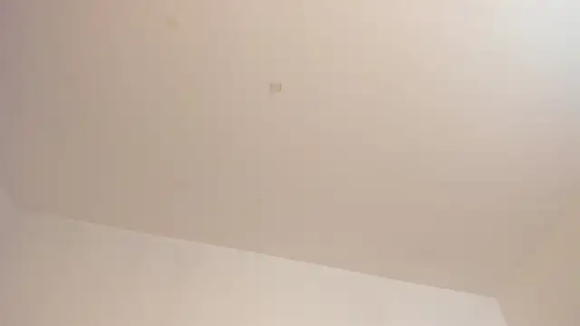 FrancescaSkuirt's cam snapshot