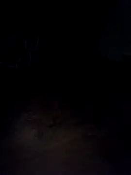 Hiptonos's cam snapshot