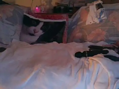 VeneRed's cam snapshot