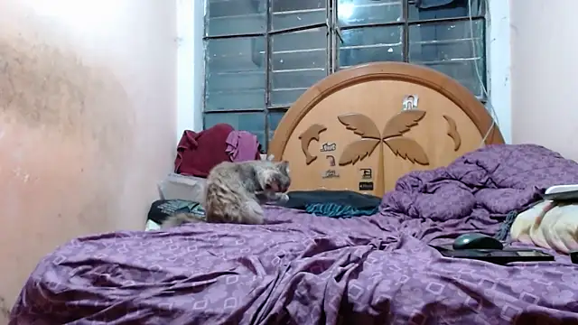 nakedlima's cam snapshot