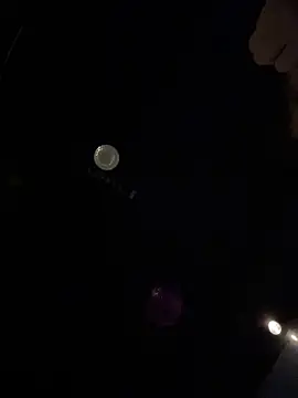 DaylaOficial's cam snapshot