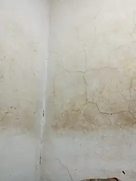 wet_babexxx's cam snapshot