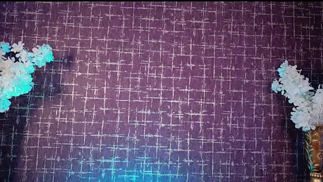 Dani_leon_'s cam snapshot