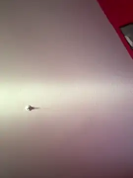 reinaass's cam snapshot