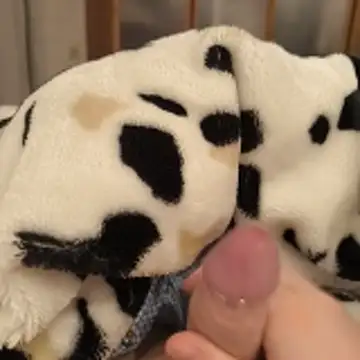 Geilerboy262's cam snapshot