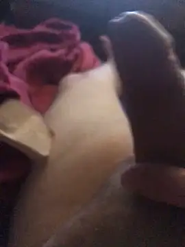 Dut421@xh's cam snapshot