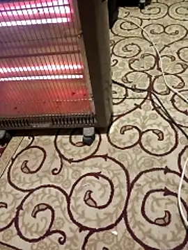 bullut06's cam snapshot