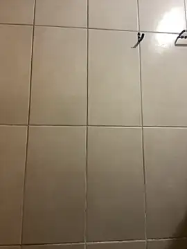 AliceStone19 live sex cam