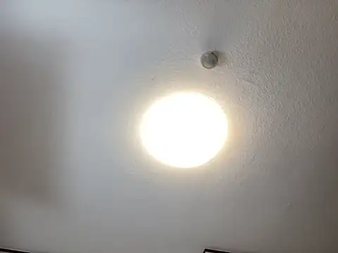 muscle_mouse live sex cam