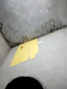 Gautami-telugu live sex cam