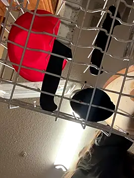 secretknight_Mrmask live sex cam