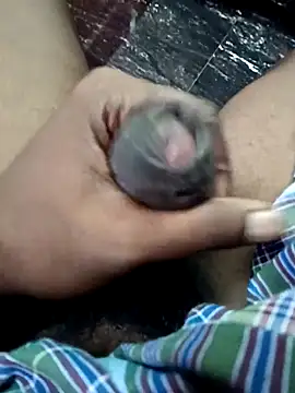 dolphiinn live sex cam