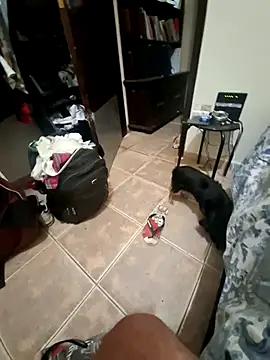 PorcelainDoll1 live sex cam