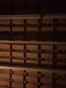 Ced1326's cam snapshot