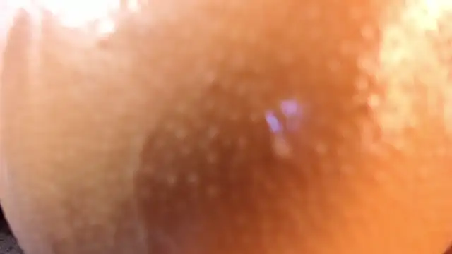 Thaliakim's cam snapshot