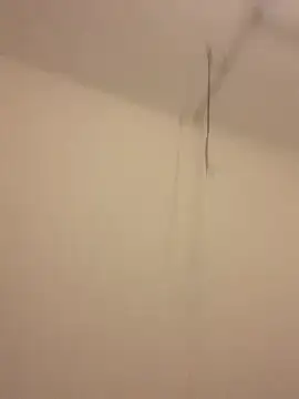 licasey2025's cam snapshot