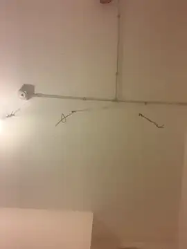 licasey2025 live sex cam