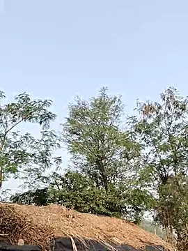 Janvi_Jaitly's cam snapshot