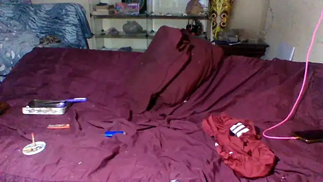 sellvageria's web cam