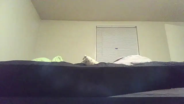 MrDaddyBbSnake live sex cam