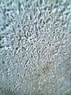 RAYI_Queen_3's cam snapshot