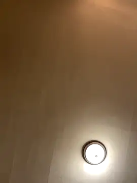 honeyrose222's cam snapshot