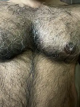 SatBull007 live sex cam