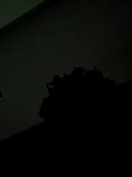 laperson's cam snapshot