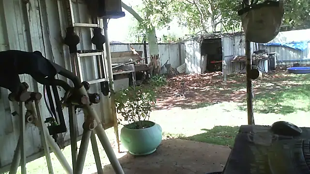 herbie010666 live sex cam