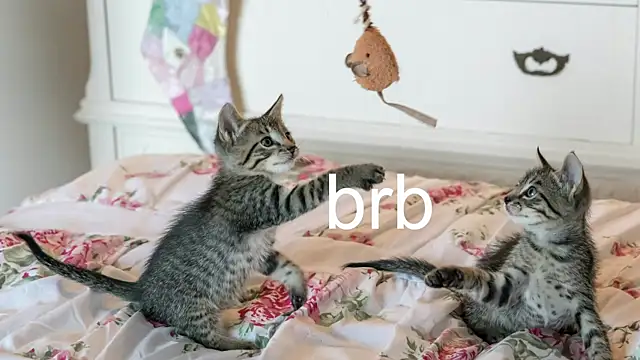 Pink_girl0n's cam snapshot