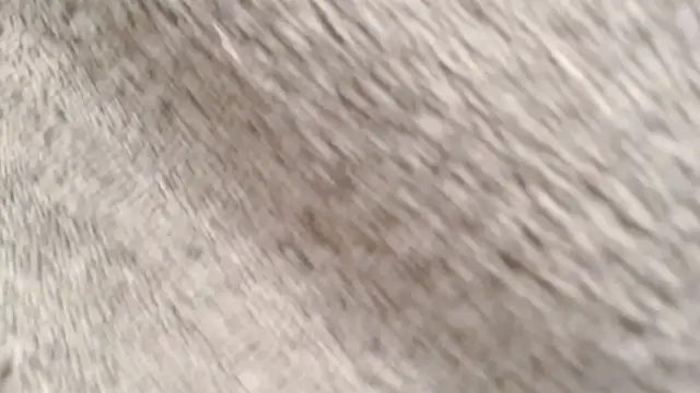 drieghe's cam snapshot