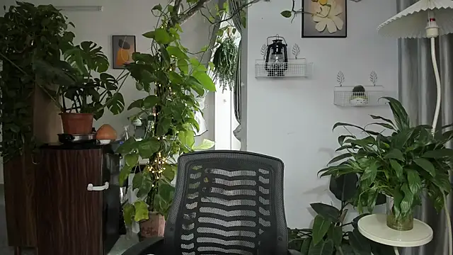 Oliver_Nl's Stripchat show and profile