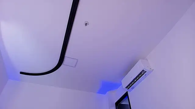 mister_miike's Stripchat show and profile