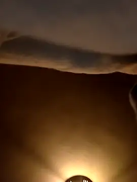 NakedBuilders's cam snapshot