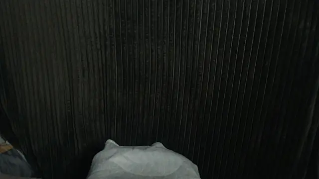 1BECHA1 live sex cam