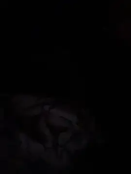 starrynikki live sex cam