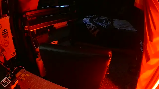 Bowerboi's cam snapshot