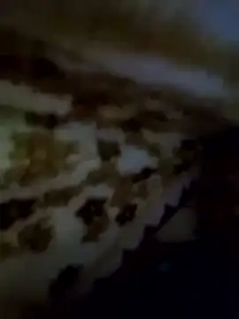 alone_boy802's cam snapshot