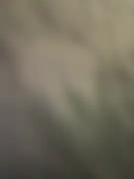 Xixi-Gala's cam snapshot