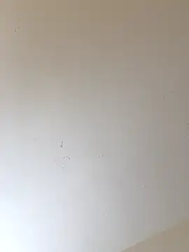 selenne_schmitt's cam snapshot