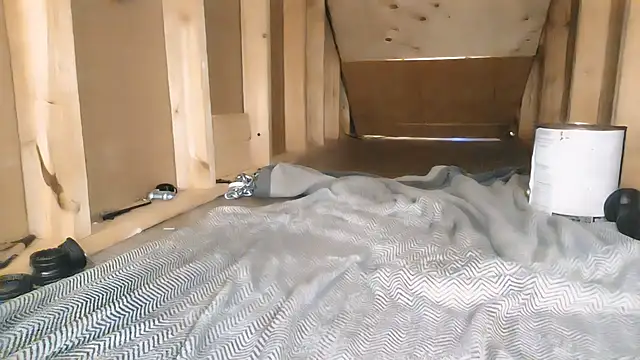 cbtbetaloser live sex cam