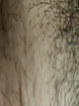 MonkyDACE123's cam snapshot