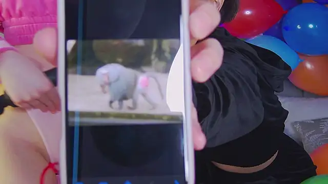 CaitlinSugar live sex cam