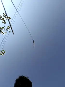 devil_boy_0909 live sex cam