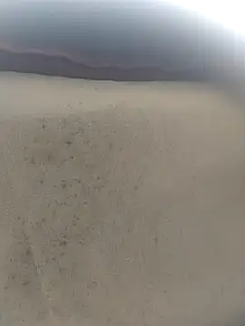 yaraa49 live sex cam