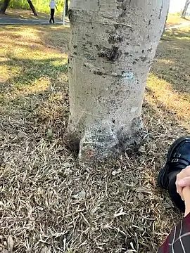 Adora188 live sex cam