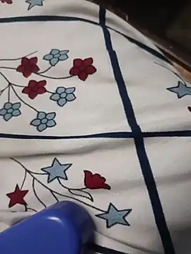 Sri2450's cam snapshot