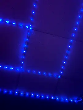 GenitalWars's cam snapshot